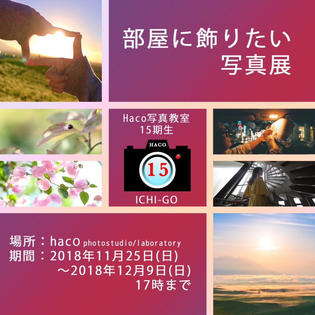 15th写真展